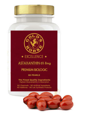 Gold’s Horse Excellence - Premium Bio Organic Astaxanthin - Luxury natural Astaxanthin - Luxury vegan Astaxanthin - Premium natural Astaxanthin - High quality Astaxanthin - Top quality Astaxanthin